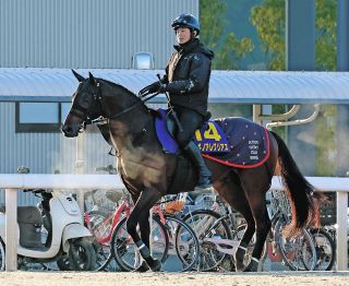 迫る新種牡馬産駒の2歳馬デビュー サトノダイヤモンドらに加えて実績