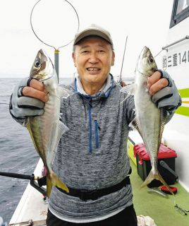初夏のアジ満喫　三重・国崎沖