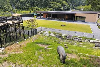 「ワンヘルス」で動物も園もハッピーに　三重県多気町のごかつら池どうぶつパーク、リニューアル2年