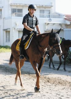 ONE 峰竜太　ポスター　3枚 ONE 峰竜太ポスター3枚