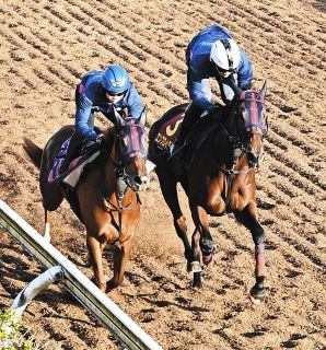 京都記念追い切り】エフフォーリアに王者の風格 横山武が持ったまま2