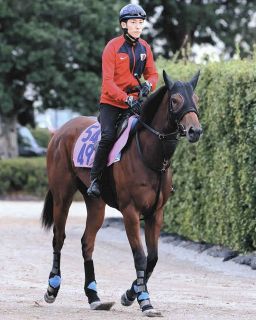 西村淳也、初のG1勝利へ騎乗4戦負け知らずのエルトンバローズとタッグ