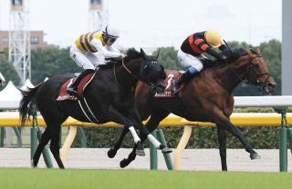 ヴィクトリアマイル】ソングラインがG1・2勝目 ソダシを内から差し切る