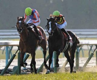 ハーツクライ死す 22歳 2005年の有馬記念、06年のドバイシーマ