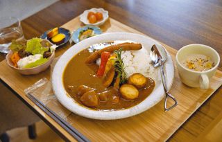 化石にちなんで遊び心を盛り込んだＫＡＳＥＫＩカレーランチ