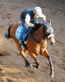 第65回有馬記念　カレンブーケドール Amazon.co.jp: 第65回有馬記念 カレンブーケドール ZC