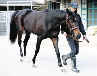 迫る新種牡馬産駒の2歳馬デビュー サトノダイヤモンドらに加えて実績