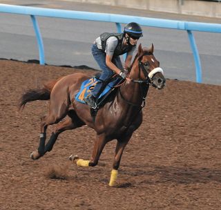 第56回皐月賞　イシノサンデー　Sサイズ希少 第56回皐月賞 イシノサンデー Sサイズ希少 第56回皐月賞 イシノ