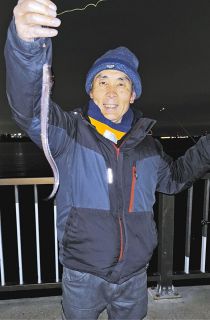 アナゴ久々の好釣果　愛知・武豊緑地