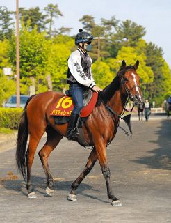 阪神JF】川田将雅騎手は予定通りリバティアイランドに騎乗 サンデー