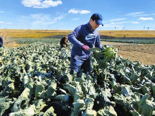 &atilde;&atilde;&shy;&atilde;&atilde;&sup3;&atilde;&ordf;&atilde;&frac14;&atilde;&egrave;&frac34;&sup2;&aelig;&deg;&acute;&ccedil;&atilde;&aelig;&aring;&reg;&eacute;&egrave;&atilde;&atilde;&laquo;&atilde;&ccedil;&ccedil;&pound;&egrave;&atilde;&uml;&auml;&frac34;&iexcl;&aelig;&nbsp;&frac14;&atilde;&aring;&reg;&aring;&reg;&atilde;&reg;&aelig;&copy;&aelig;&micro;&atilde;&aring;&middot;&aring;&aring;&frac12;&ccedil;&pound;&aring;&atilde;&atilde;&sup3;&atilde;&sup1;&atilde;&eacute;&laquo;&atilde;&egrave;&ordf;&sup2;&eacute;&iexcl;