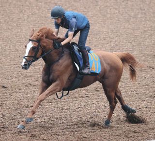 有馬記念・2006年】ディープインパクト、”クリスマスの衝撃