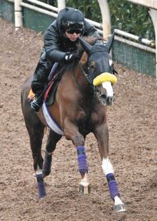 トライアル快勝のスウィープフィート、単走で坂路軽快 庄野師「あとは本番まで疲れが出ないように」【桜花賞1週前追い】