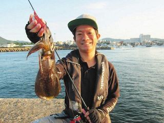＜九州発！河野剛志の釣り日誌＞枕崎港で初秋のアオリエギング