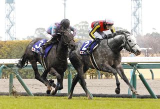2002年皐月賞馬、ノーリーズン死す 25歳 通算12戦3勝：中日