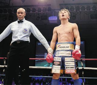 ボクシングWBO世界Sフライ級チャンピオンチャンピオン井上尚弥直筆サイン色紙新品 ボクシング世界統一チャンピオン 井上尚弥 サイン色紙｜Yahoo