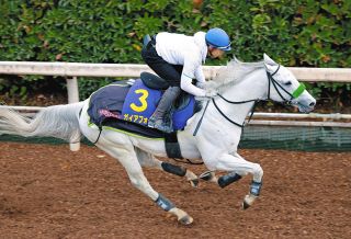 オグリにディープ…名馬がズラリ並ぶ切手発行 競馬法100周年記念【中央競馬】競馬法100周年：中日スポーツ・東京中日スポーツ