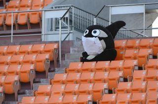 J1名古屋28日の練習試合は横浜FCに決定「DAZN」でライブ中継 試合後の5日間はリフレッシュのためオフに