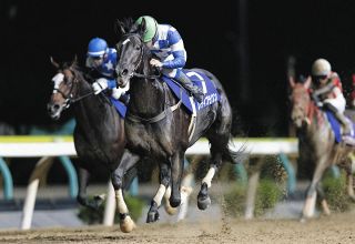 2022年のG1チャンピオンズC優勝のジュンライトボルトが引退、種牡馬