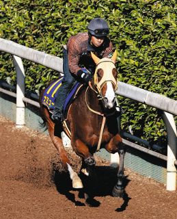 オグリにディープ…名馬がズラリ並ぶ切手発行 競馬法100周年記念【中央競馬】競馬法100周年：中日スポーツ・東京中日スポーツ