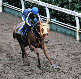 坂井瑠星騎手がJRA通算700勝達成 新潟12Rクリムゾンリーフで制す