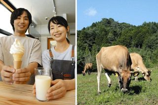 牛を自然放牧「山地酪農」伝えるカフェオープン　長野・平谷村、牛乳やソフトクリーム提供