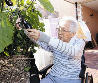 車いすで野菜育て達成感、脳に刺激与え認知症予防　神戸の老人ホーム「ライズ」