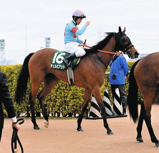 亡き父から「『いい仕事したな』と珍しく褒めてもらえた気がした