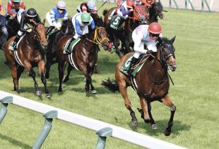 秋華賞】特別登録馬を発表、22頭が登録 桜花賞馬エンブロイダリー