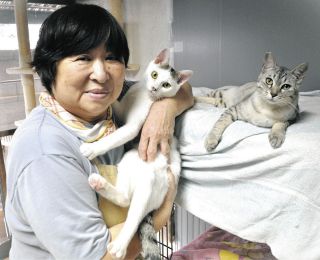 猫エイズの正しい知識を　6日、恵那の譲渡会で保護団体が適切な飼育方法伝える