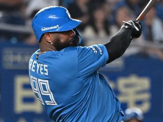 日本ハムファイターズ　今井順之助　バット NPBマーク 支給品　実使用 日本ハムファイターズ 今井順之助 バット NPBマーク 支給品 実使用