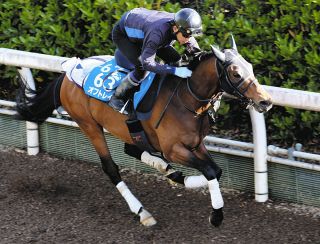 2000年のダービー馬アグネスフライトが老衰で死ぬ 26歳 ：中日スポーツ