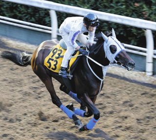 浜中騎手 通算300勝 記念ジャージ サイズL 競馬 ジャンパー 2025年最新】競馬ブルゾンの人気アイテム - メルカリ