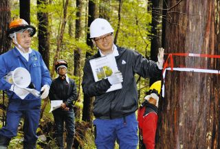 未来に残す有望株を探せ　中津川市・裏木曽古事の森で伊勢市から技師招き選木作業