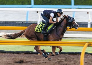 1996年皐月賞馬、イシノサンデー死す 31歳、通算22戦6勝 父は