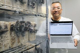 ほぼほったらかしでキクラゲ　武豊のIT企業、強み生かし栽培