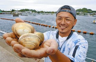 シラスだけじゃない、大アサリの篠島に　稚貝集めは苦悩の連続、軌道に乗るまで4年