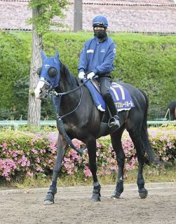 【キムラヨウヘイさんコラム】中・長距離適性を問われる日本ダービー…高速決着の年の皐月賞Ｖ馬より惜敗馬狙う！