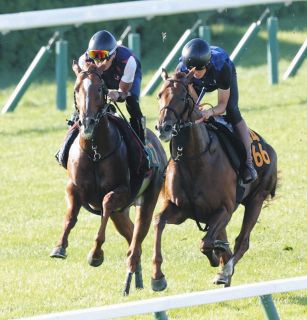 日本ダービー】武豊らも敗れた30年以上続くジンクス 今年は17頭