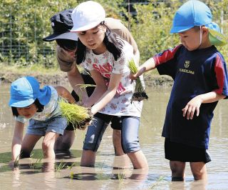 自然と触れ合う子どもたち　田植え・サツマイモ苗植え