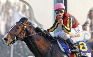 アスクワイルドモア前走10着の敗因は『落鉄』…蹄鉄は競走能力をそぐ  