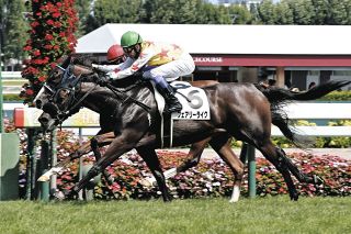 1996年皐月賞馬、イシノサンデー死す 31歳、通算22戦6勝 父は