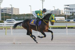コントレイル直線抜け出しダービー制覇！史上7頭目の無敗2冠、父