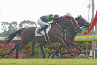 1996年皐月賞馬、イシノサンデー死す 31歳、通算22戦6勝 父は