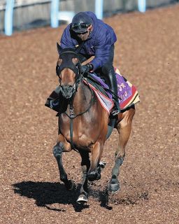 皐月賞に20頭が登録…重賞ウイナーはジャンタルマンタル、レガレイラのG1馬にコスモキュランダなど計8頭
