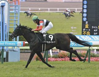 03年スティルインラブ以来の「紅梅S＆桜花賞」W勝利へ…成長中の