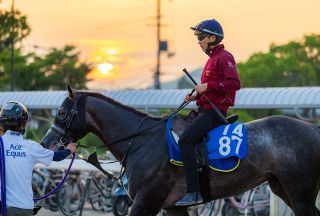 中央競馬】今村聖奈が17戦目で初勝利 阪神8R、5番人気ブラビオで直線