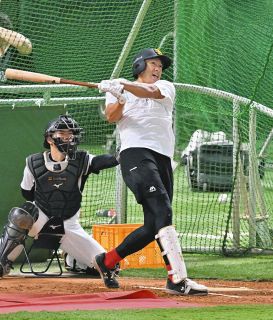 非売品 佐々木朗希 松川虎生 和田康士朗 千葉ロッテマリーンズ ボブルヘッド人形 非売品 佐々木朗希 松川虎生 和田康士朗 千葉ロッテマリーンズ