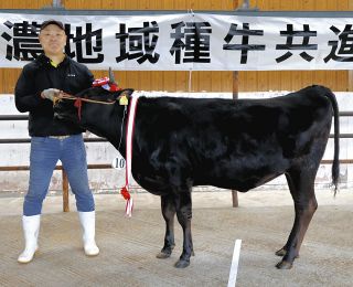 関市・神谷さんの飛騨牛が最優秀　中濃地域種牛共進会に18頭出品