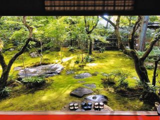 日本庭園特集「THE GARDEN」：中日新聞Web